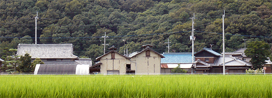 讃岐の風景にとけ込む
